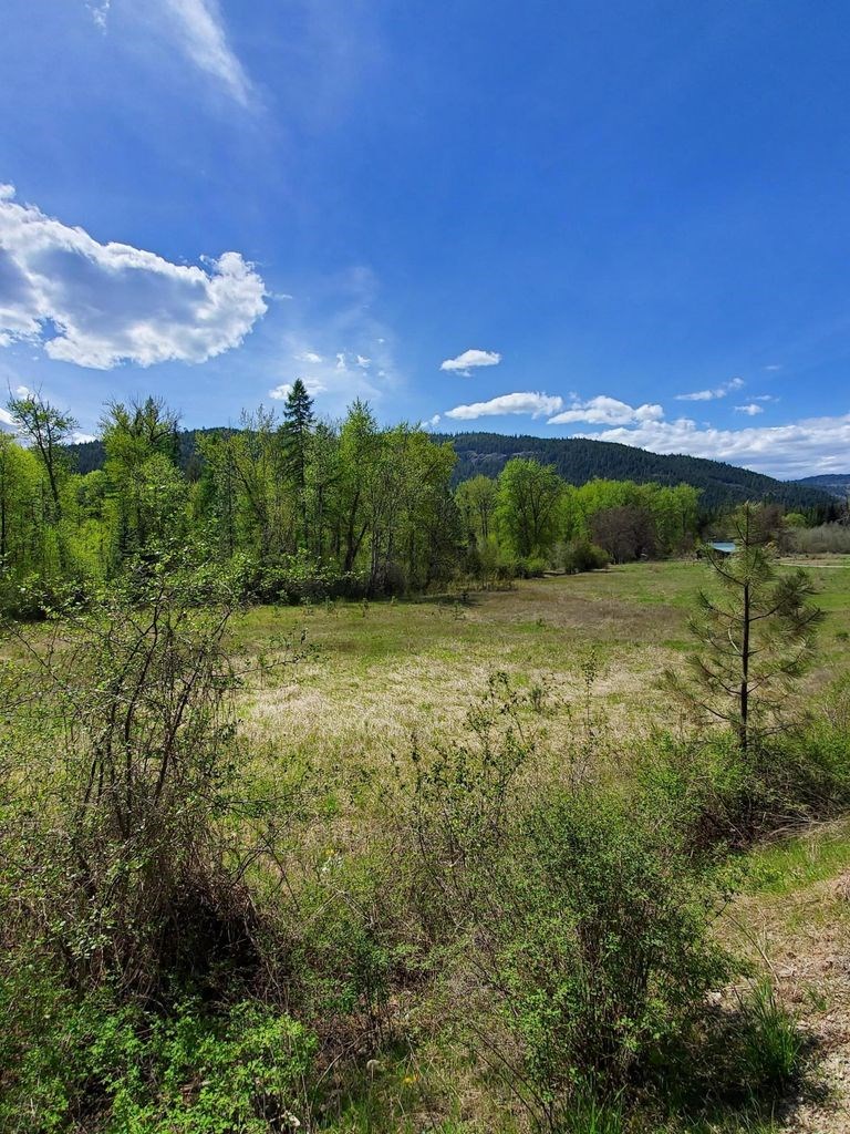 2692 Hall Creek Road Inchelium, WA 99138 - Photo 8 of 8