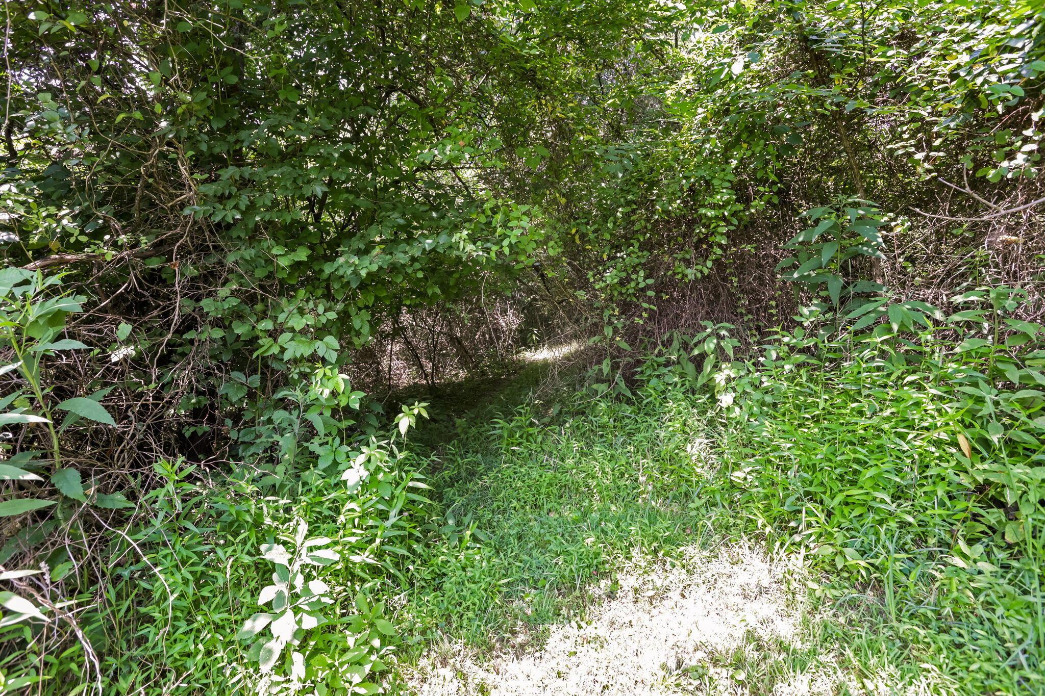5595 Sheets Road Logan, OH 43138 - Photo 63 of 150 66-web-or-mls-LO5A0697