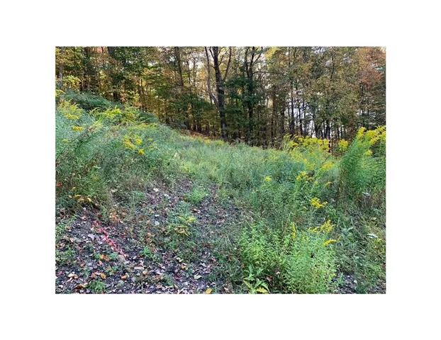 $55,000 | 112 Riverside Drive, Elmora, PA 15737