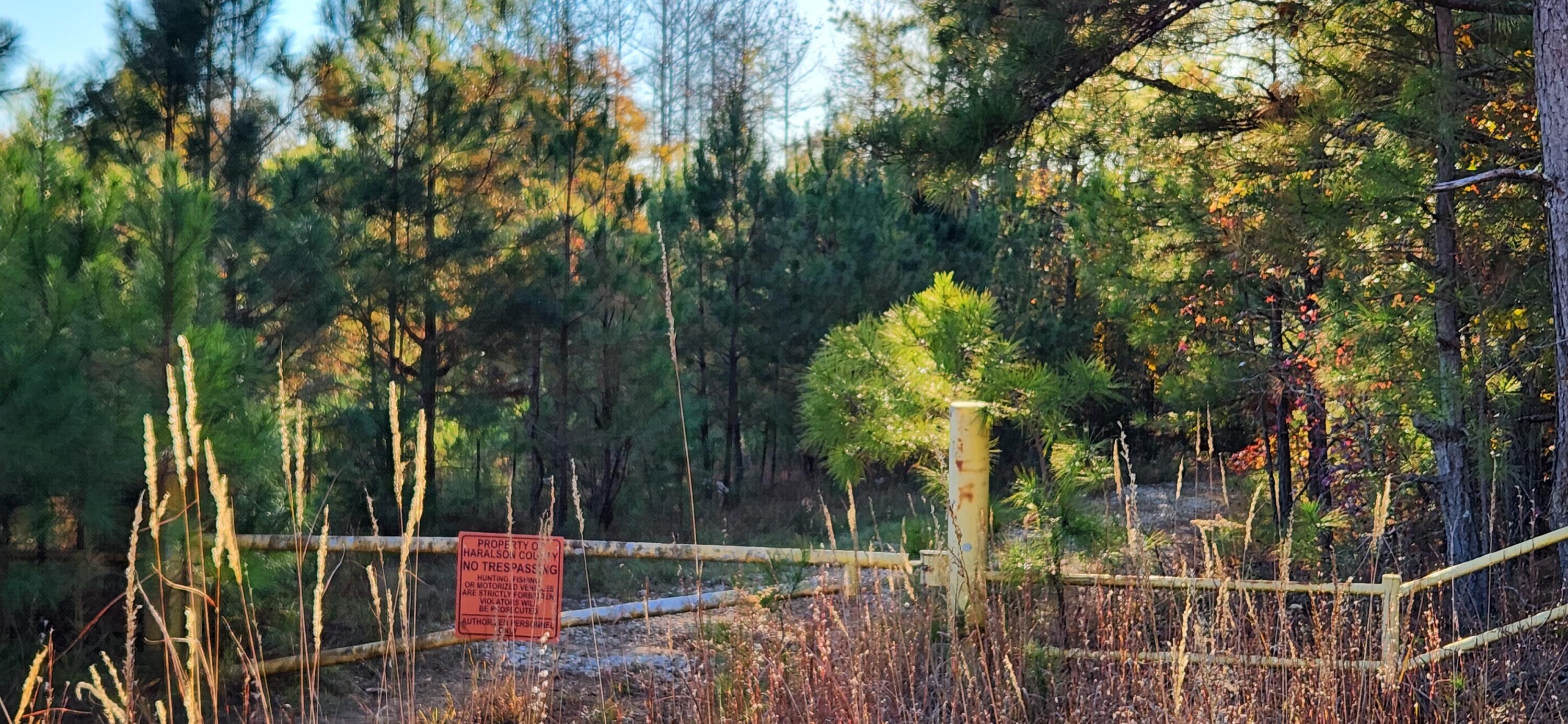 0 Budapest Road Tallapoosa, GA 30176 - Photo 2 of 4 1000017282