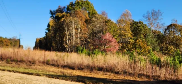 $250,000 | 0 Budapest Road, Tallapoosa, GA 30176