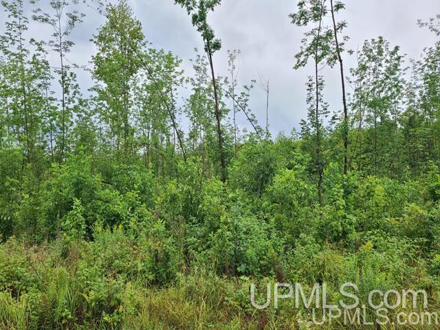 Tbd Bates-Amasa Road Iron River, MI 49935 - Photo 12 of 12