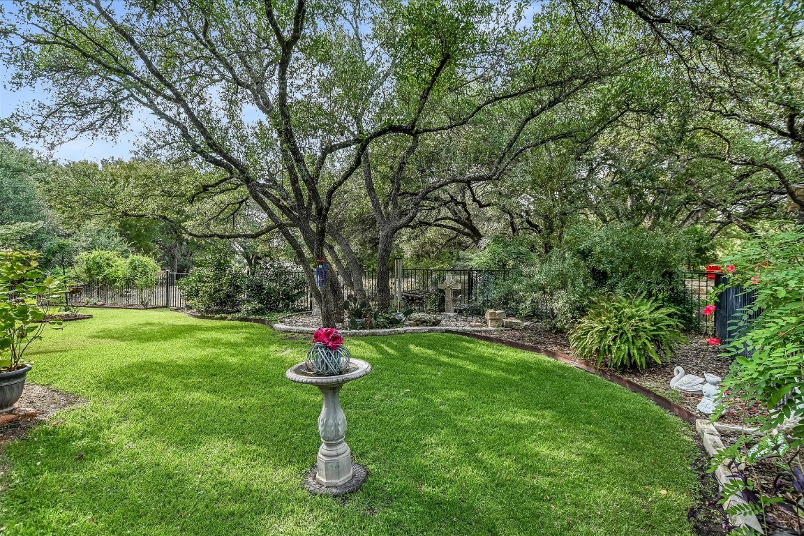 902 Rio Grande Loop Georgetown, TX 78633 - Photo 28 of 29 a view of a garden with a tree