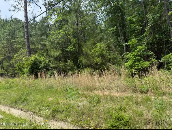 $15,000 | West Adams Street, Bay St. Louis, MS 39520