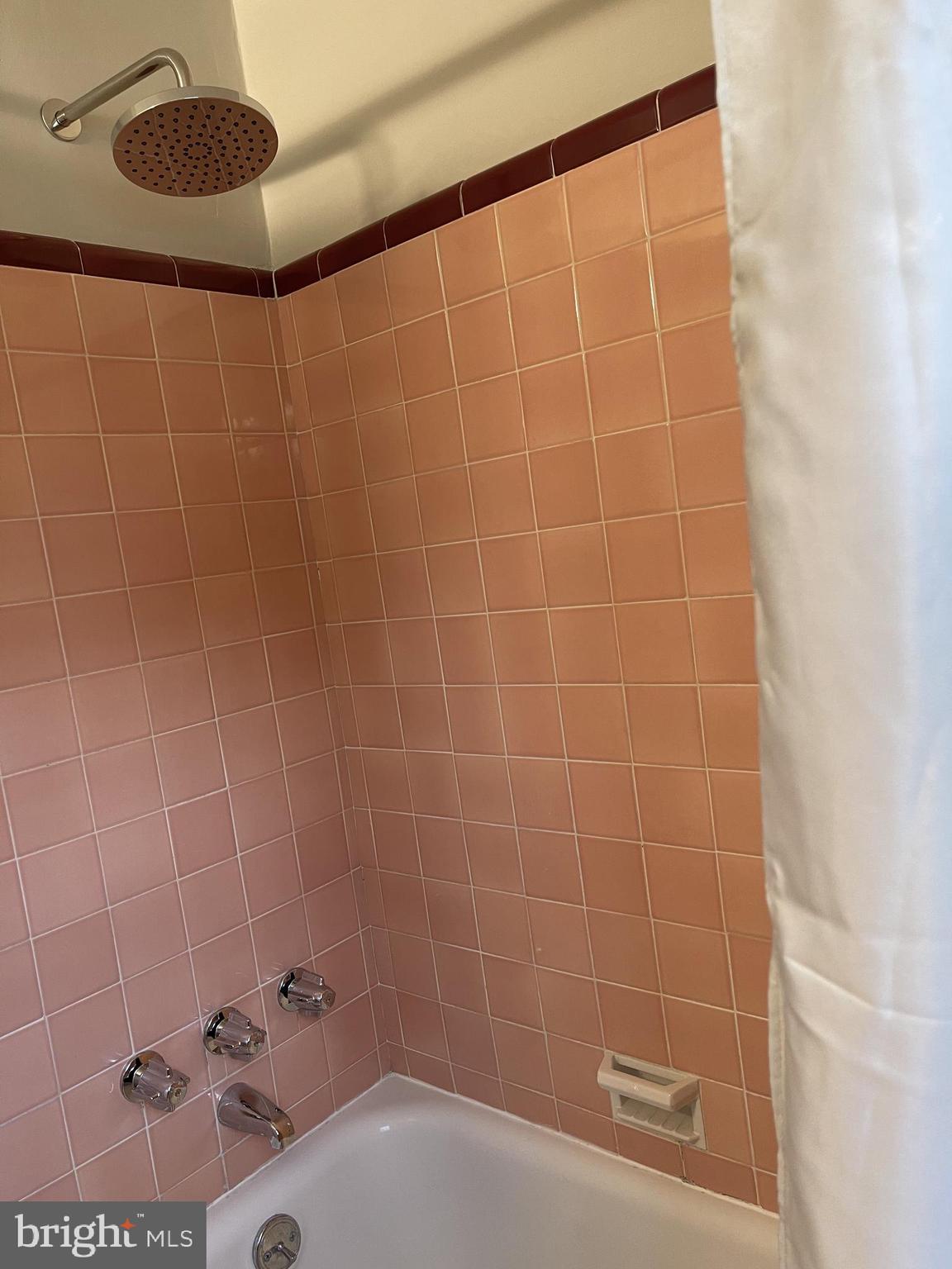 3185 Mayflower Road Plymouth Meeting, PA 19462 - Photo 31 of 49 Bath tub with rain shower