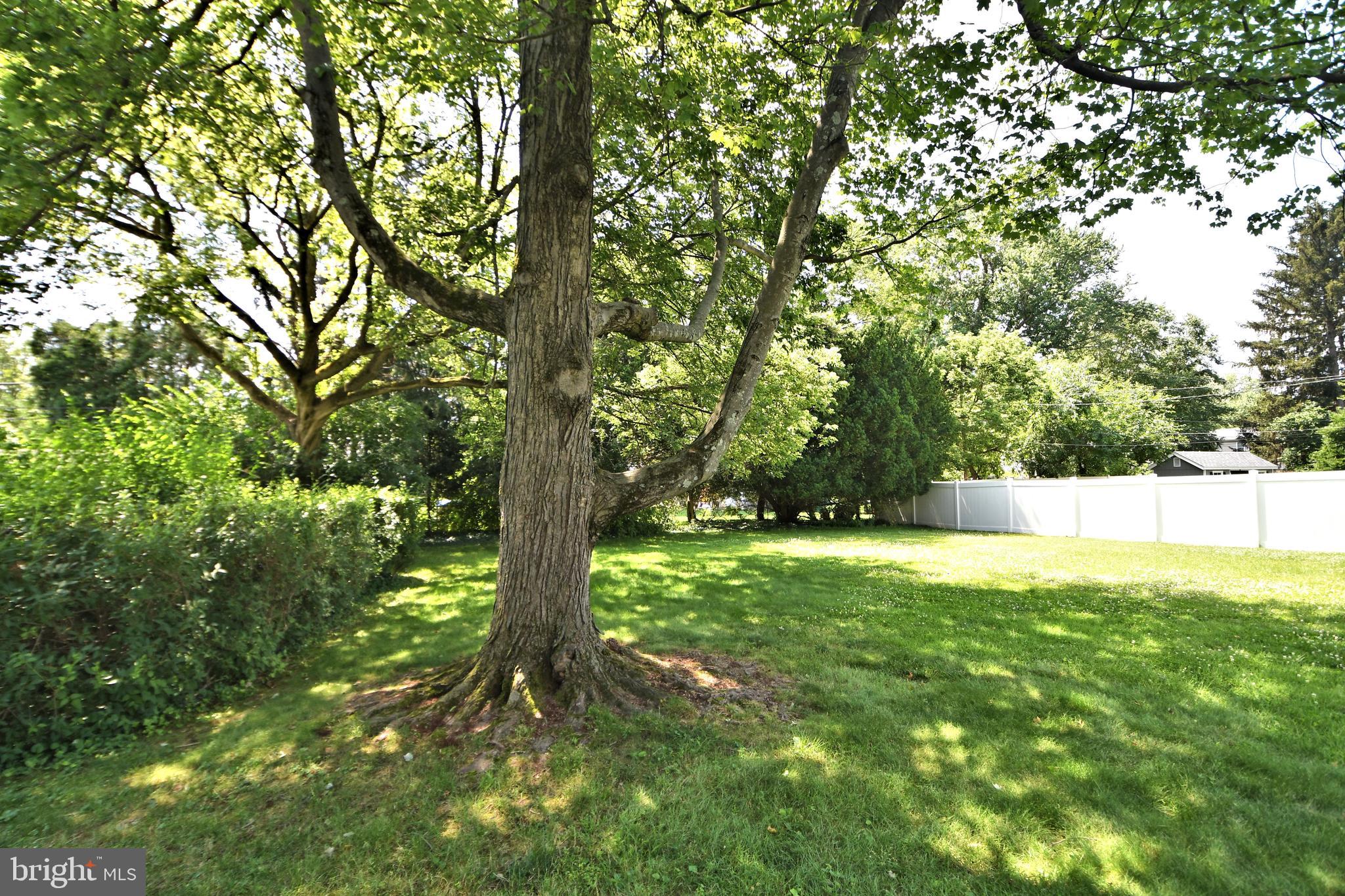 3185 Mayflower Road Plymouth Meeting, PA 19462 - Photo 46 of 49 Mature trees offer shade
