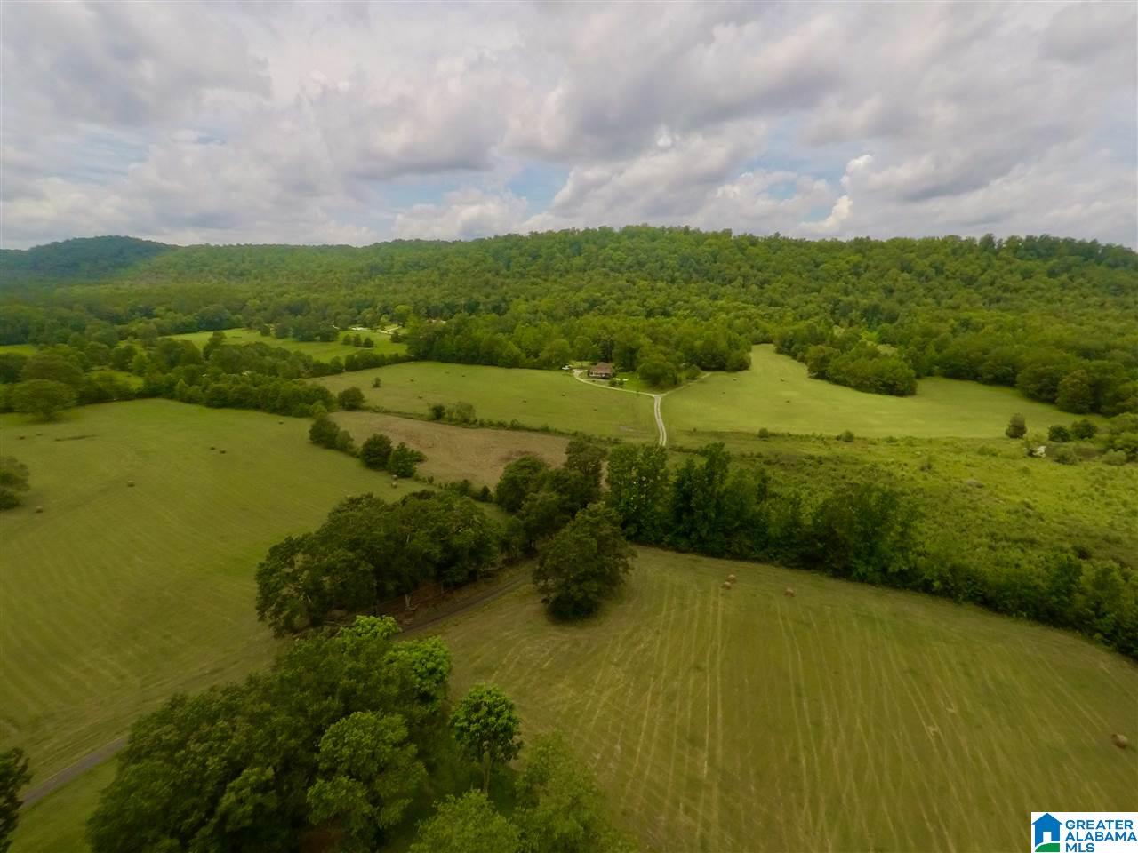 3775 Tidwell Hollow Road Oneonta, AL 35121 - Photo 45 of 49