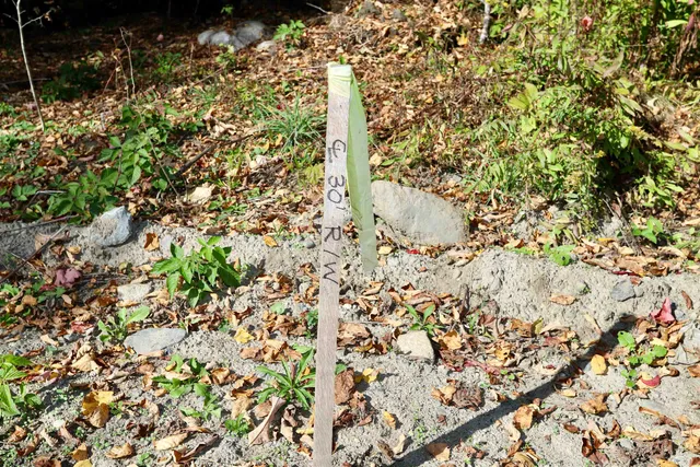 $125,000 | 0 Pine Hill Road, Unit 2, Newport, VT 05855