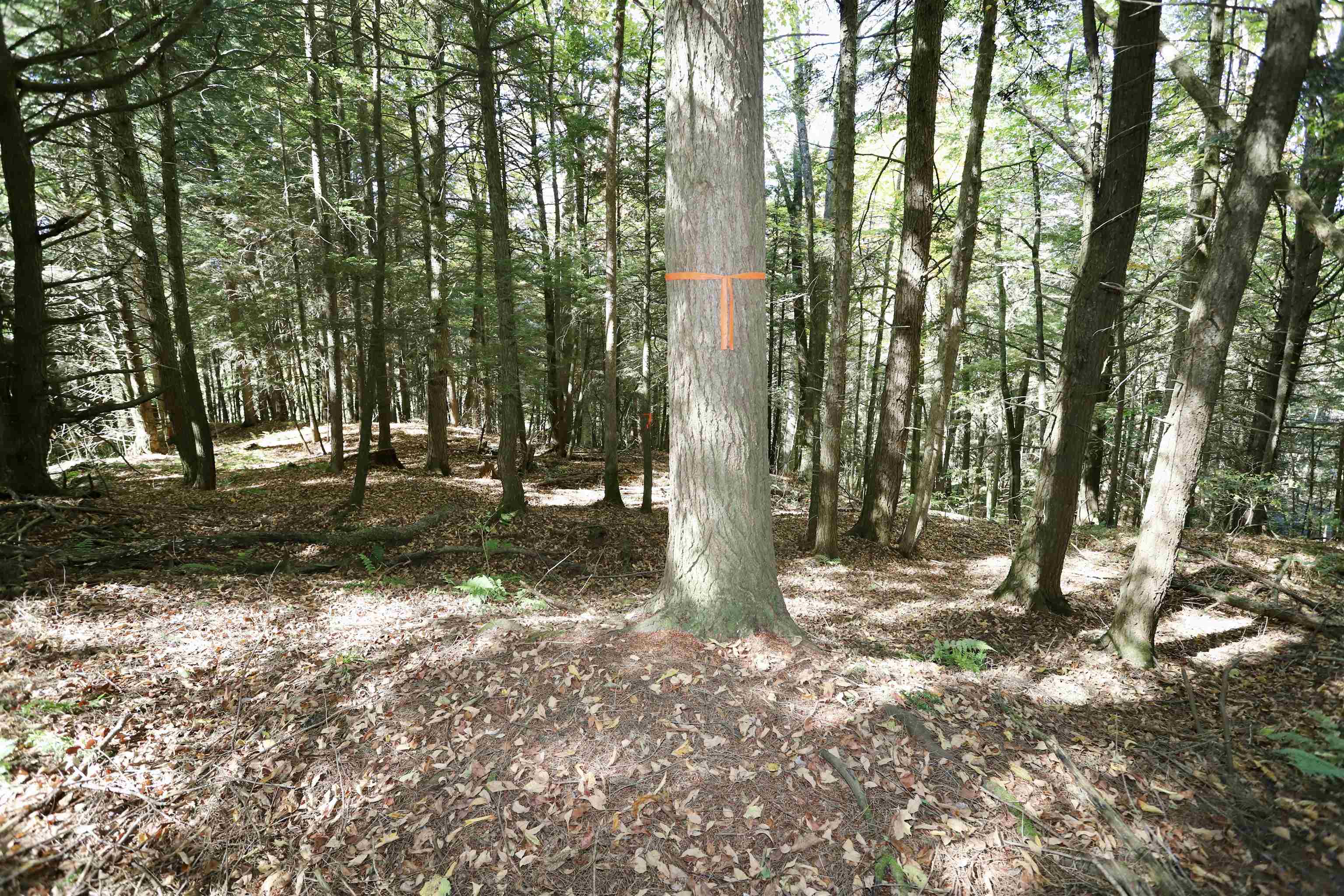 0 Pine Hill Road, Unit 2 Newport, VT 05855 - Photo 18 of 24