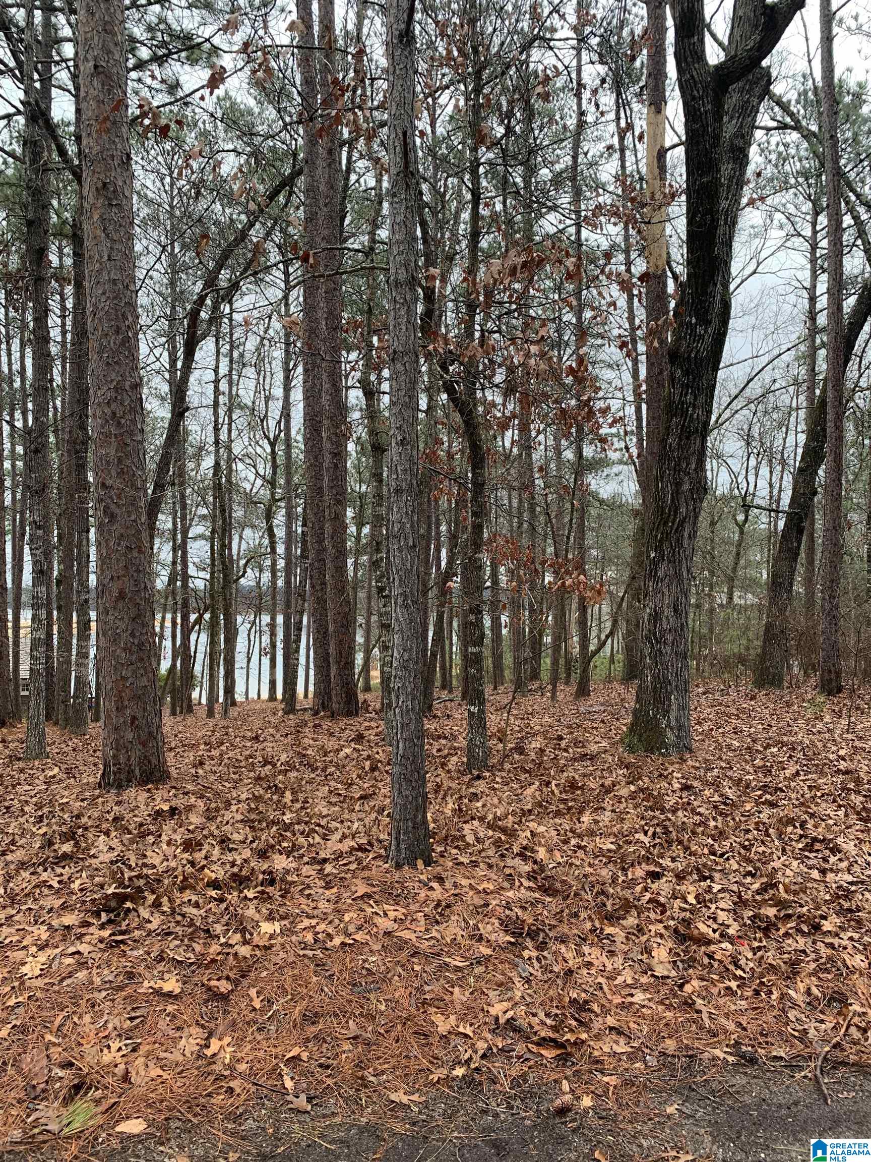 Windy Way, Unit 49 Alexander City, AL 35010 - Photo 8 of 17