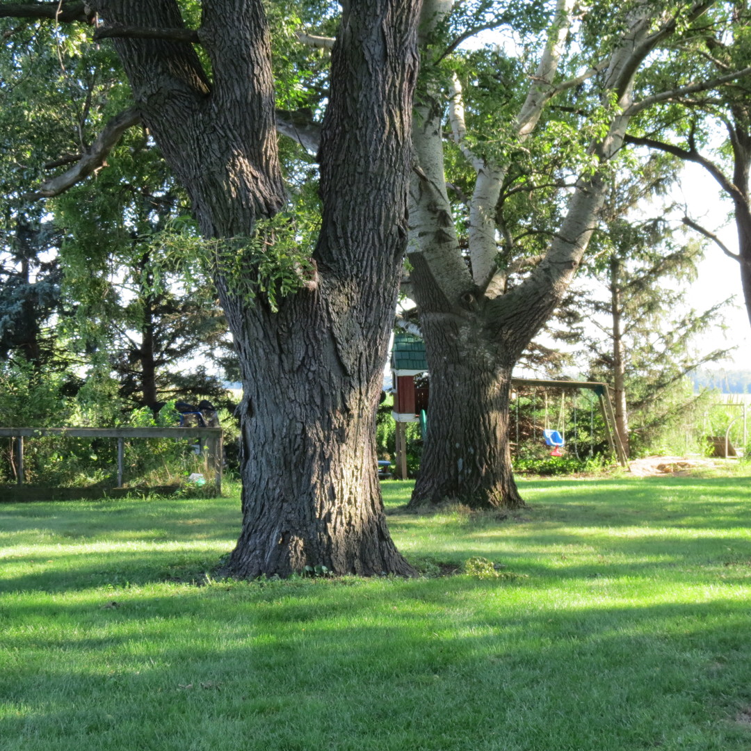 11762 East 7000 N Road Grant Park, IL 60940 - Photo 23 of 40