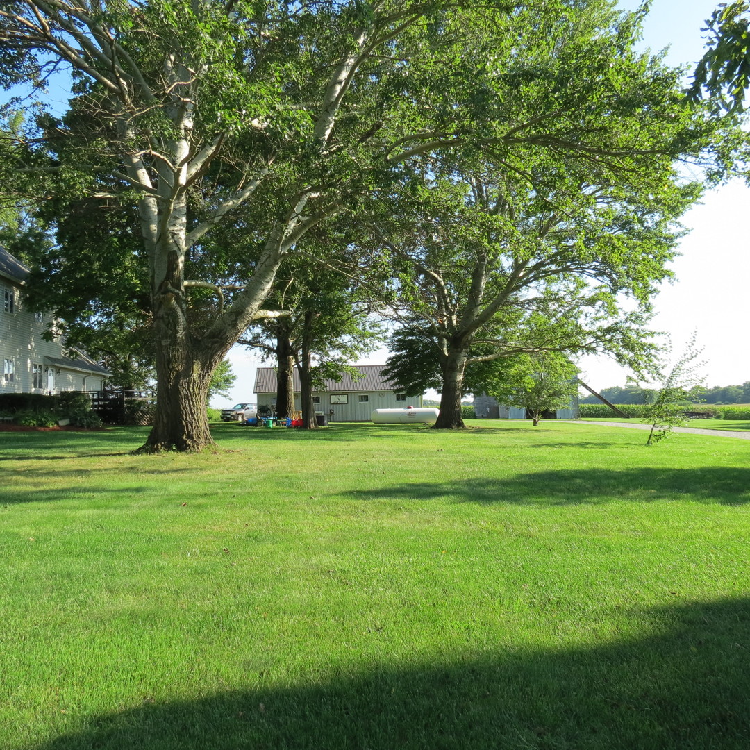 11762 East 7000 N Road Grant Park, IL 60940 - Photo 27 of 40