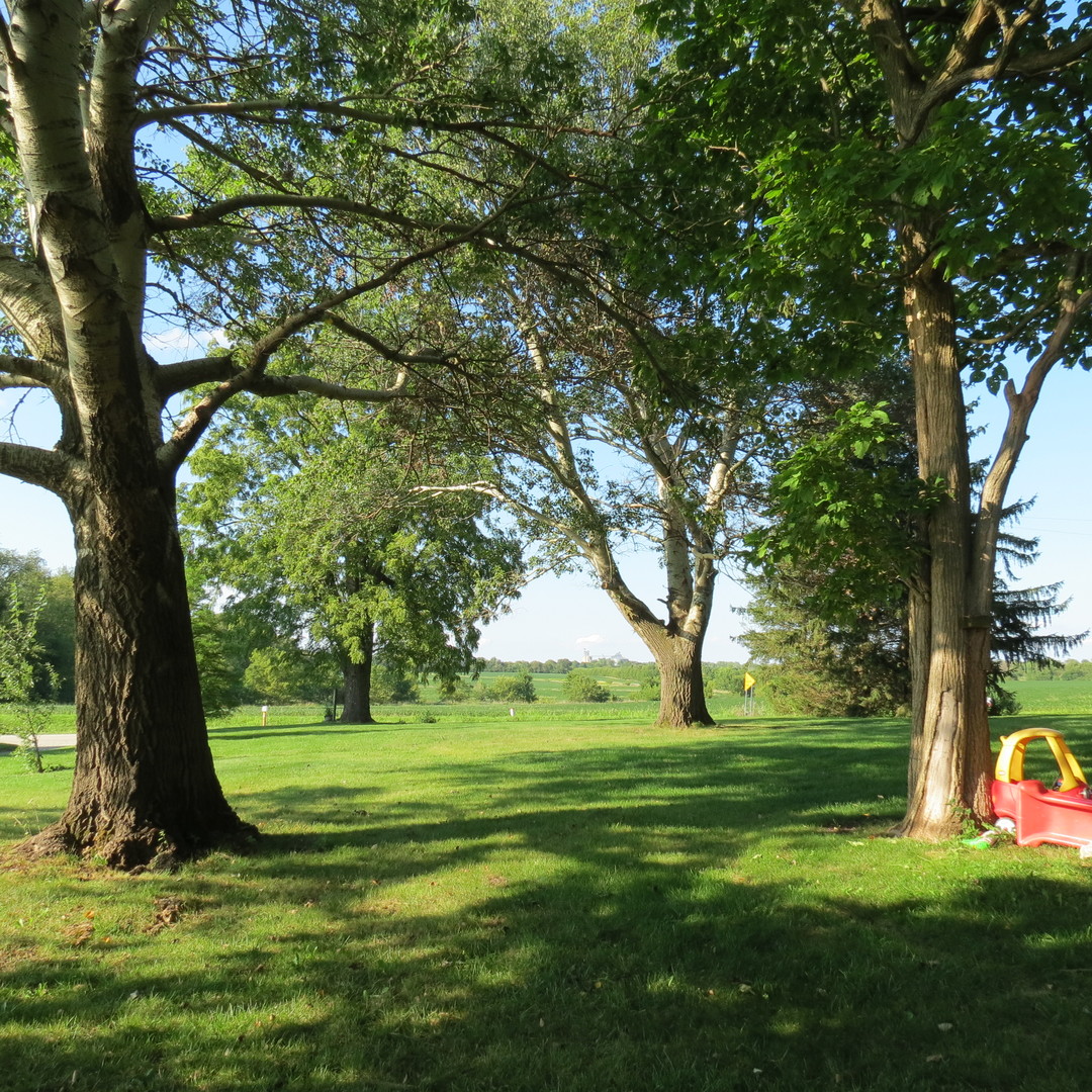 11762 East 7000 N Road Grant Park, IL 60940 - Photo 32 of 40