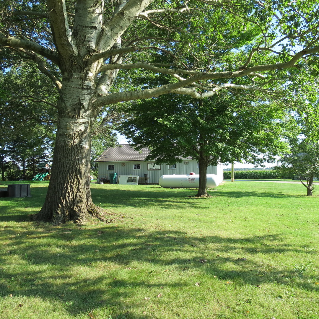 11762 East 7000 N Road Grant Park, IL 60940 - Photo 35 of 40