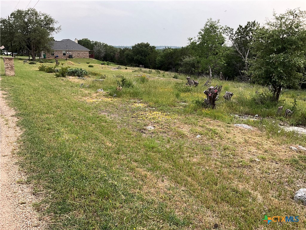 4 Oakmont Circle Belton, TX 76513 - Photo 8 of 20 a view of a lake with green field