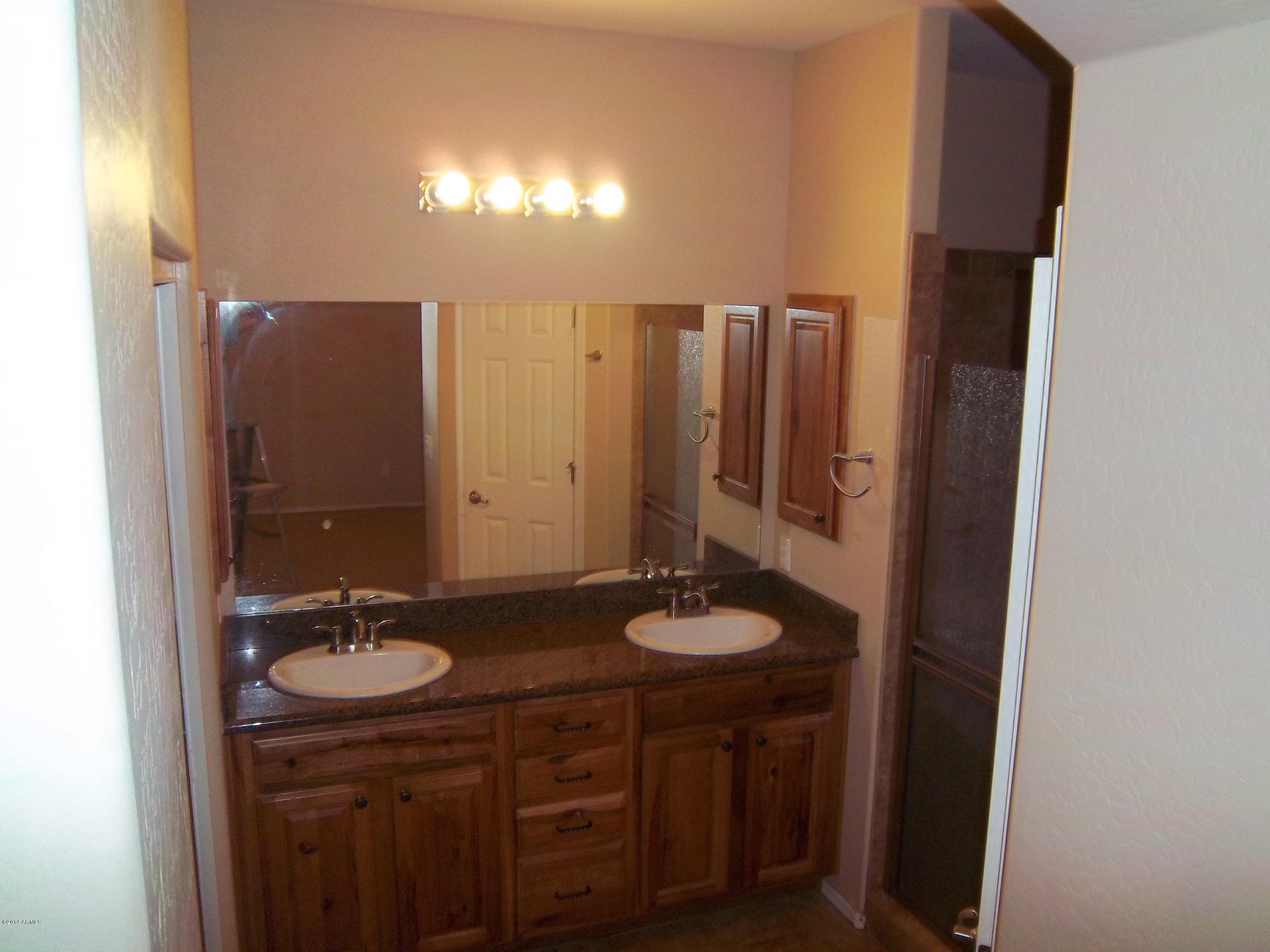 21117 West Steedridge Road Wittmann, AZ 85361 - Photo 8 of 66 Master Bath