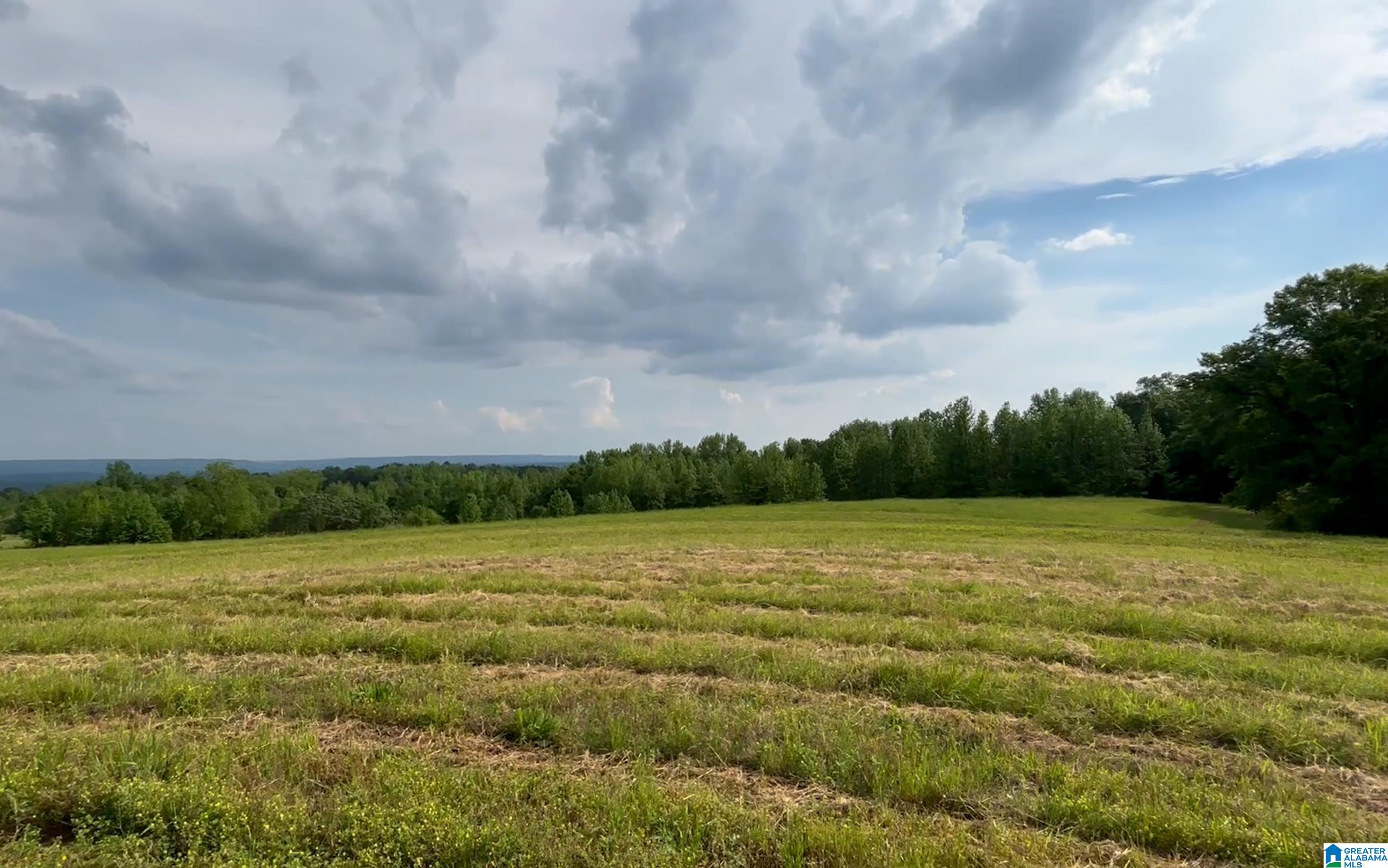 1895 Marvin Adcock Road, Unit 9 ACRES Hayden, AL 35079 - Photo 17 of 18