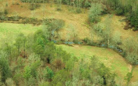 461 Cashes Valley Road Cherry Log, GA 30522 - Photo 1 of 1 a view of a yard with a lake