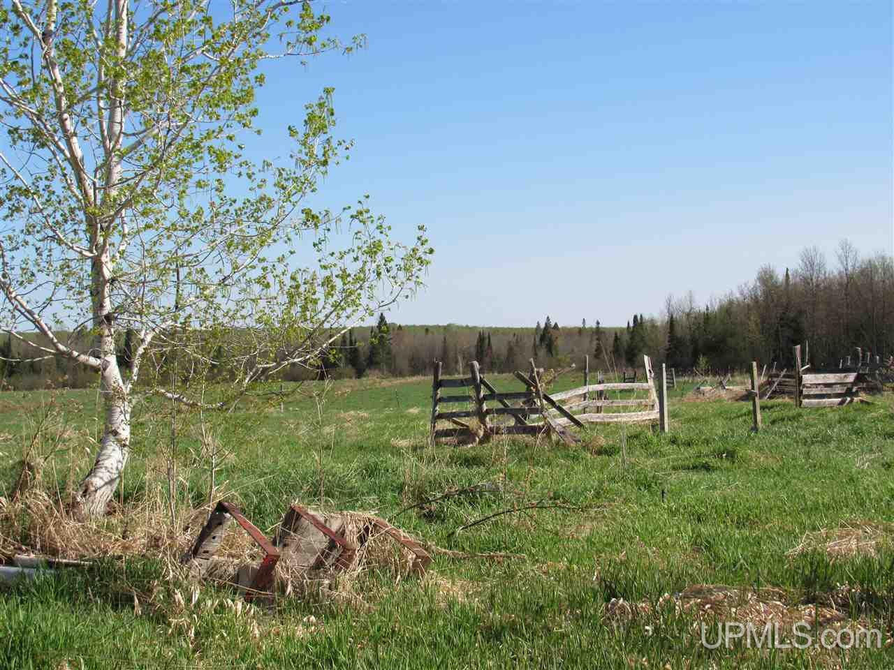 14320 Shirley Road Baraga, MI 49908 - Photo 25 of 30 Gallery Image 25