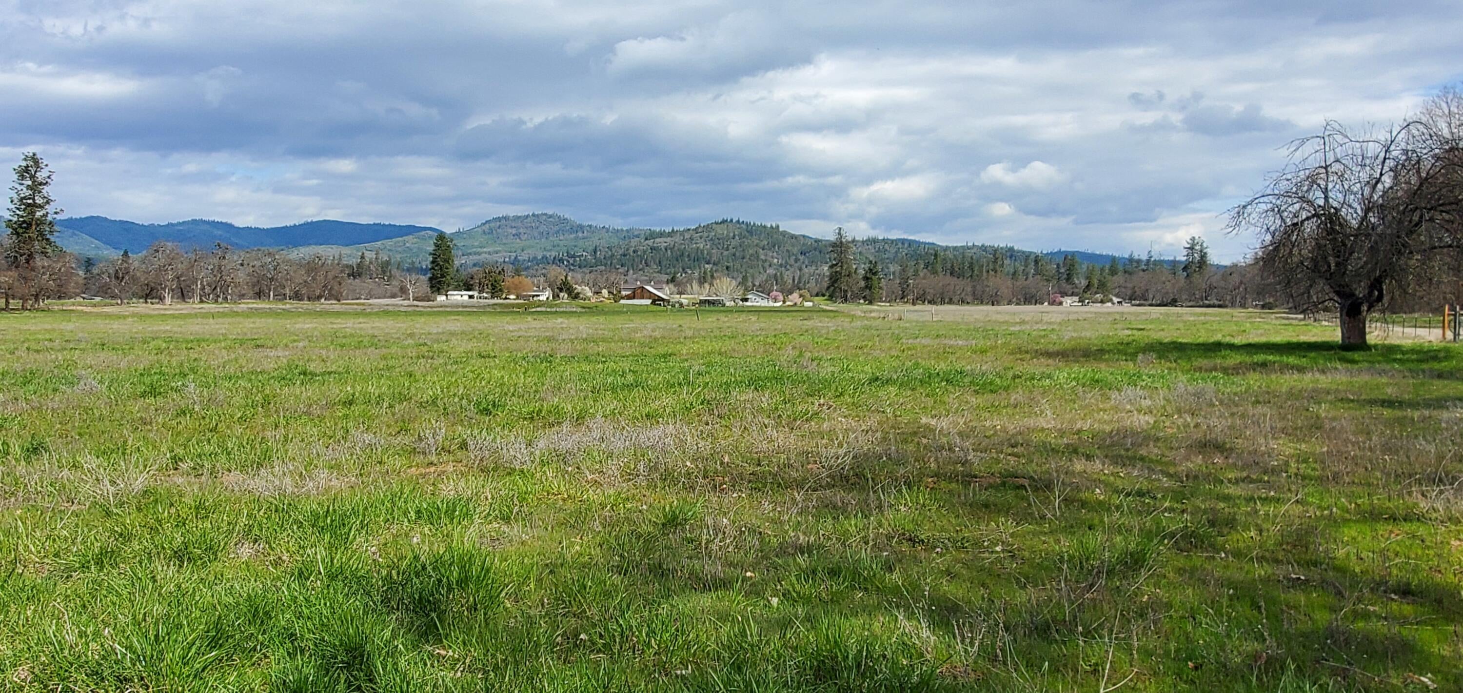 4221 Sams Valley Road Gold Hill, OR 97525 - Photo 24 of 31 20230417_105347