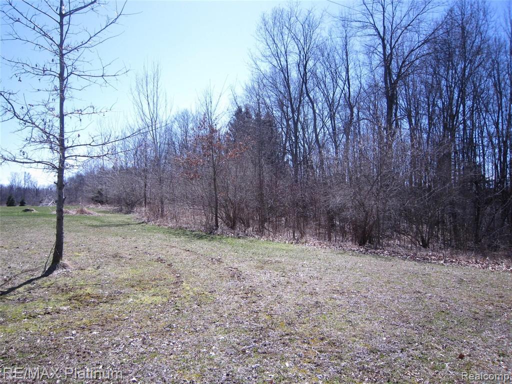 Parcel E West Lange Road Fowlerville, MI 48836 - Photo 3 of 9