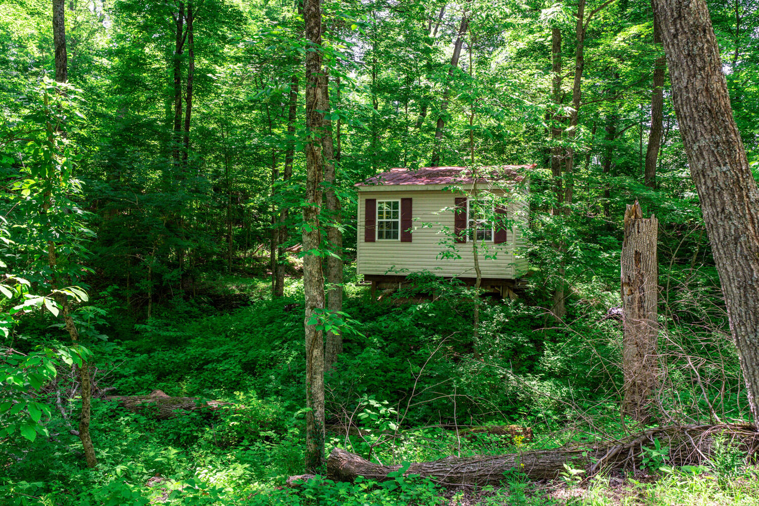 2709 Longbranch Road Union, KY 41091 - Photo 47 of 50