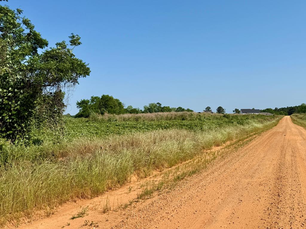 1.0-acre Hollis Dairy Road Newton, AL 36352 - Photo 7 of 7