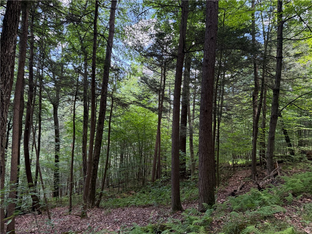 Vl Catatunk Road, Unit R Canisteo, NY 14823 - Photo 16 of 50