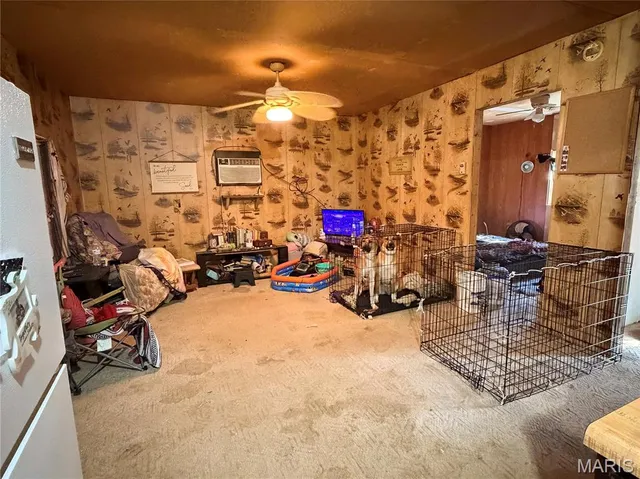 $65,000 | 11604 Kel Tec Lane, Advance, MO 63730