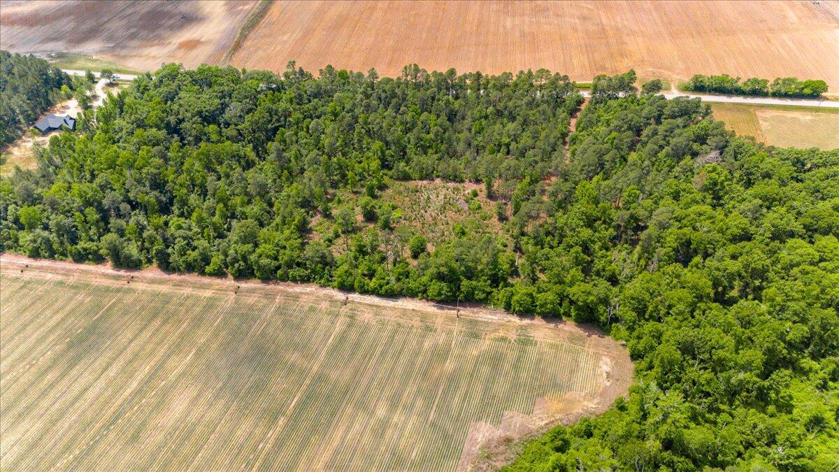 0 Herndon Road Waynesboro, GA 30830 - Photo 6 of 12 09-009-