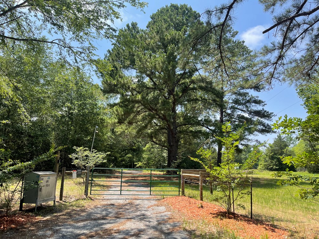 340 AN County Road Tennessee Colony, TX 75861 - Photo 2 of 36