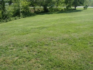 1126 Ross Road Vinton, VA 24179 - Photo 12 of 13 a view of a field with a trees