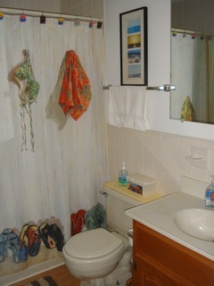 1126 Ross Road Vinton, VA 24179 - Photo 8 of 13 a bathroom with a sink toilet and shower