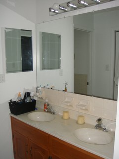 1126 Ross Road Vinton, VA 24179 - Photo 10 of 13 a bathroom with a sink and a mirror
