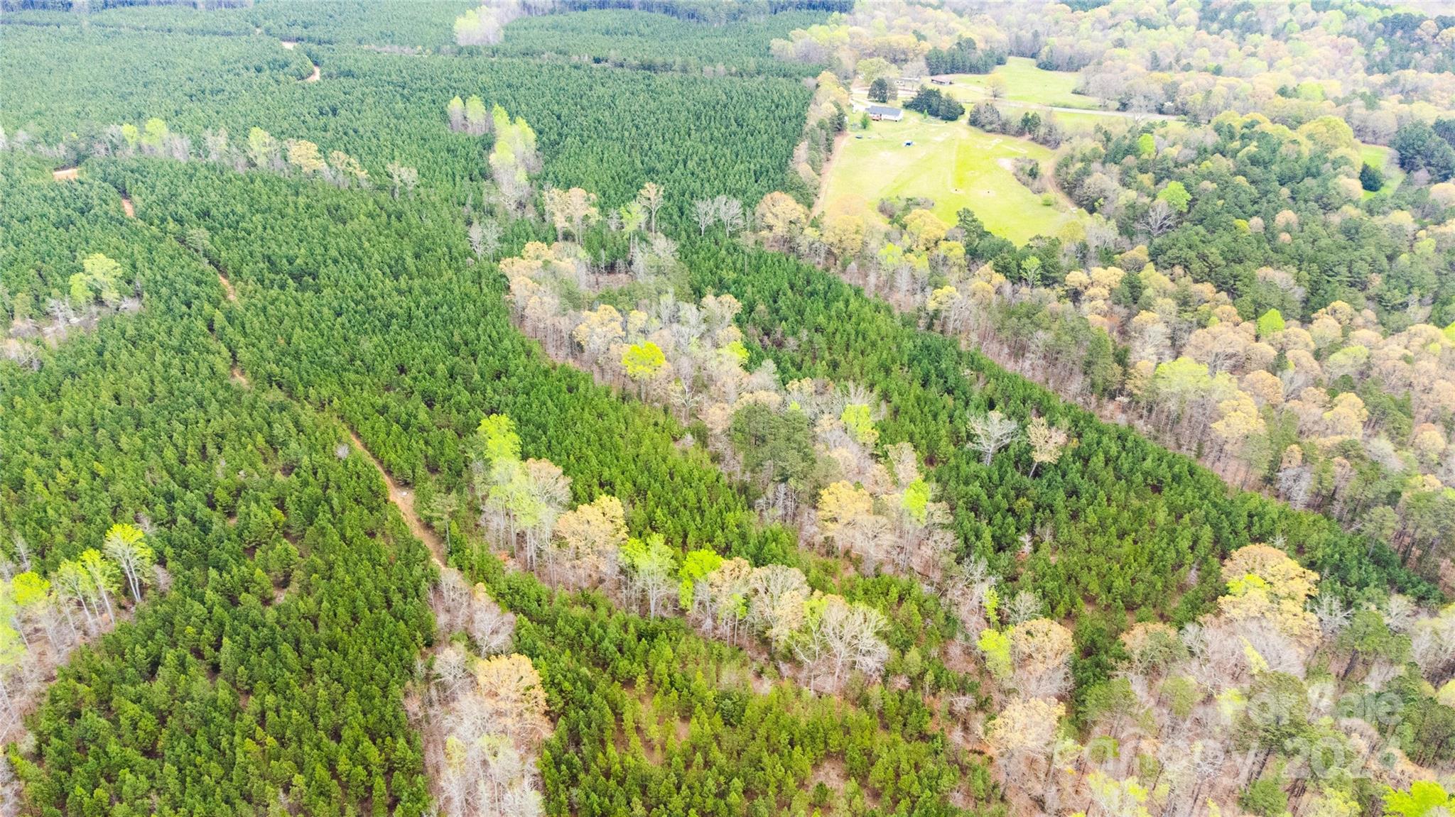 84-ac Mt Prospect Road Chester, SC 29706 - Photo 19 of 19