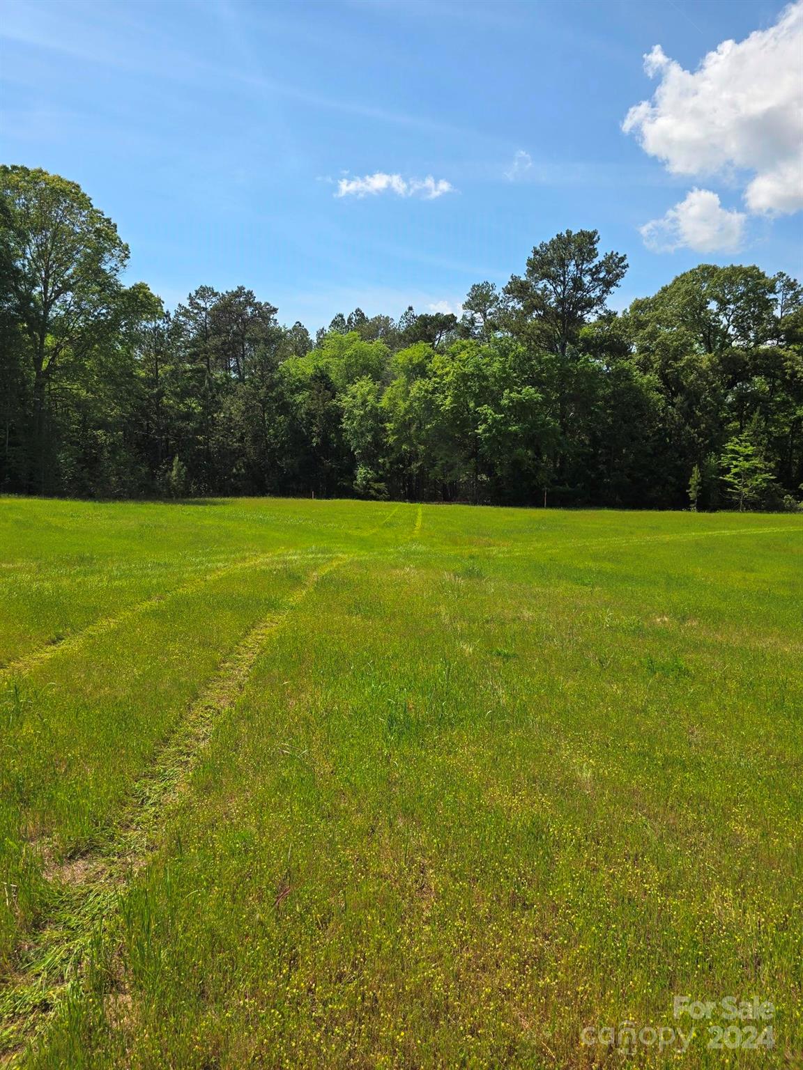 84-ac Mt Prospect Road Chester, SC 29706 - Photo 2 of 19 a view of field with tall trees
