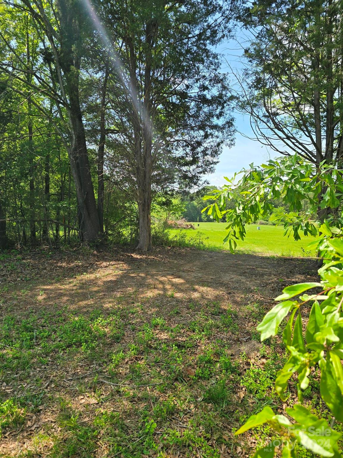 84-ac Mt Prospect Road Chester, SC 29706 - Photo 3 of 19 a view of outdoor space and yard