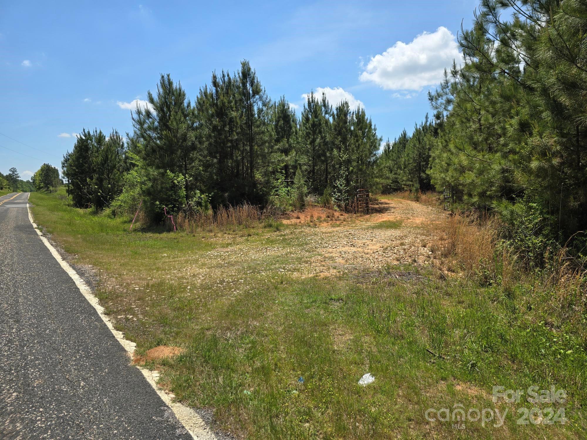 84-ac Mt Prospect Road Chester, SC 29706 - Photo 5 of 19 a view of a yard with trees