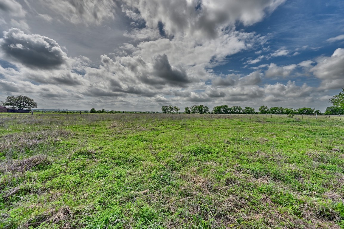 4988 Thane Road Navasota, TX 77868 - Photo 11 of 50 Pasture
