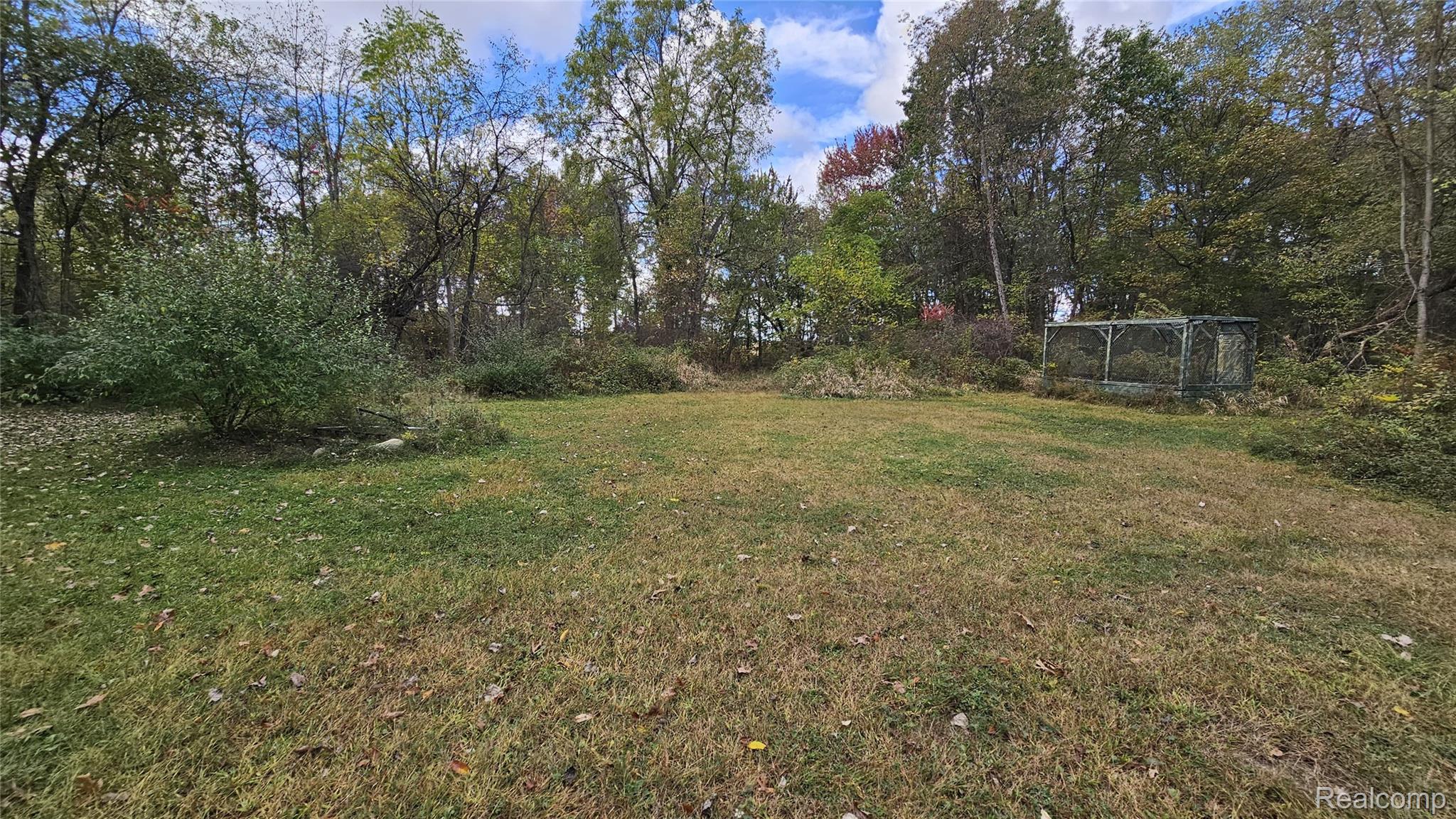 View of grassy yard
