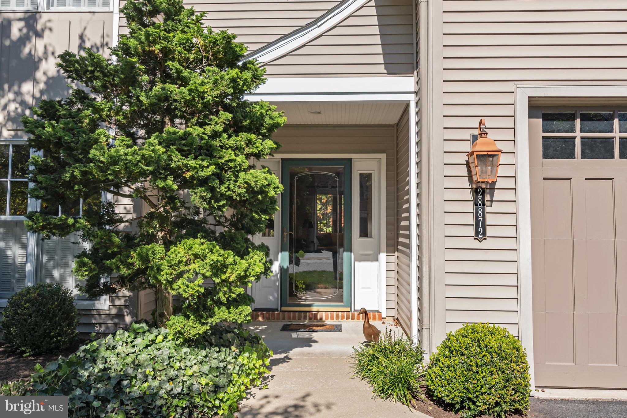 28872 Jasper Lane Easton, MD 21601 - Photo 34 of 38 a front view of a house with potted plants