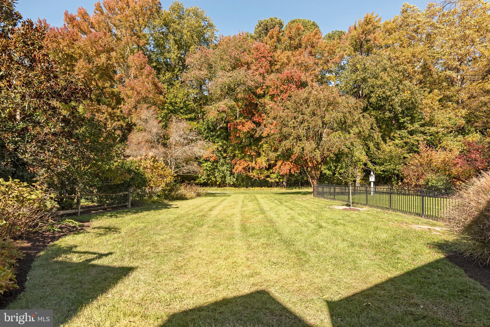 28872 Jasper Lane Easton, MD 21601 - Photo 36 of 38 a view of yard with swimming pool