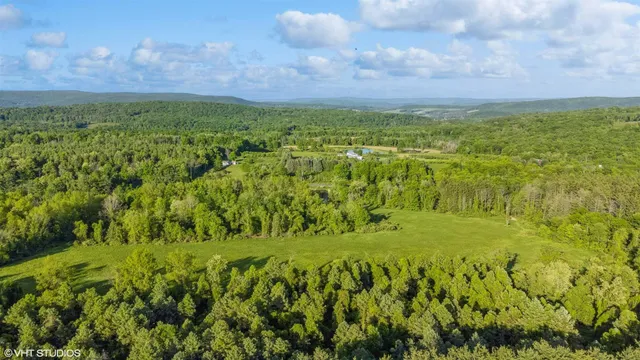 a view of yard with green space