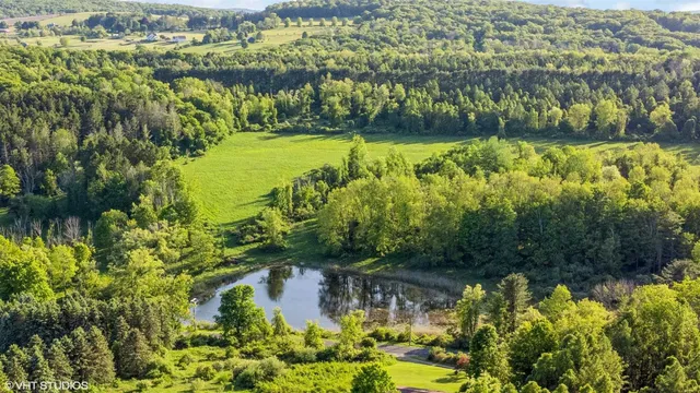 a view of a lake with a city