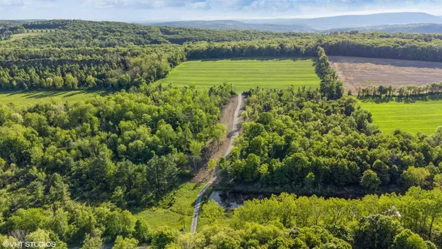 a view of a lake with a houses