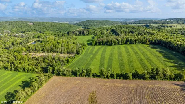 a view of a back yard