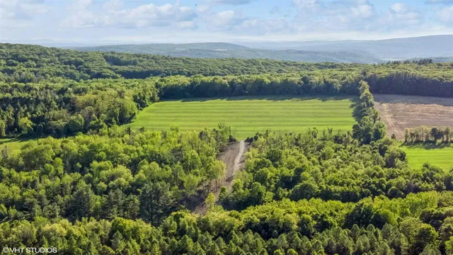 a view of a green field with an ocean view