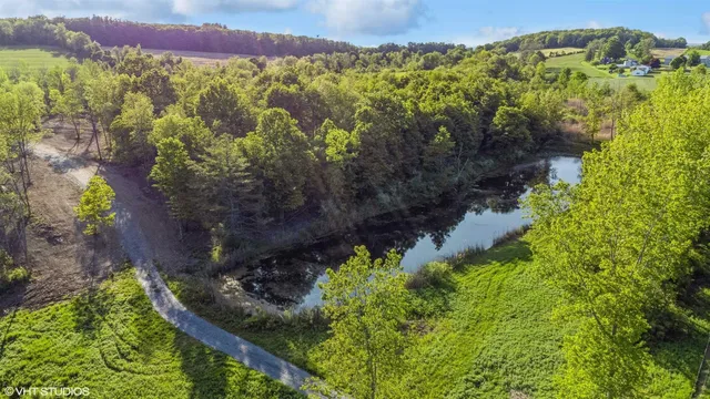 a view of a bunch of flowers and trees