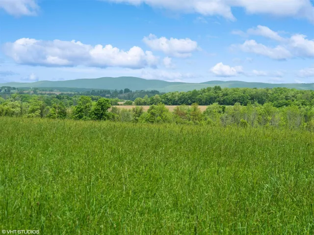 a view of a city with lush green forest