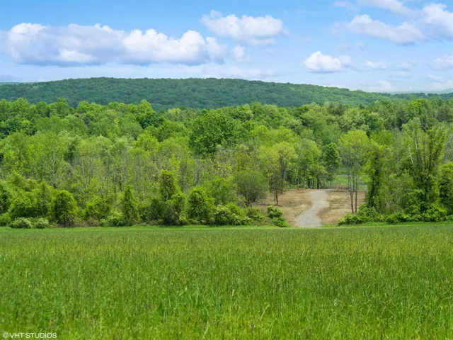 a view of a green field
